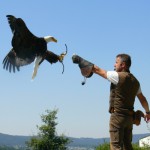 Falknerei Greifvogelpark Wunsiedel