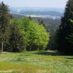 Kornberg Skipiste Die Skipiste des Kornberg im Sommer