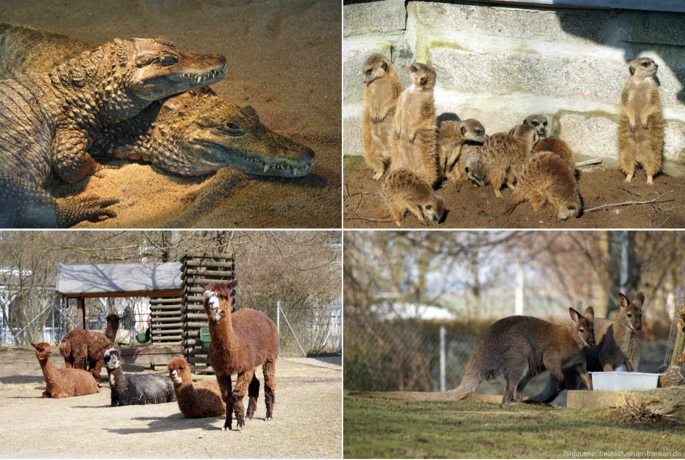 Zoo-Hof-Tiere-02